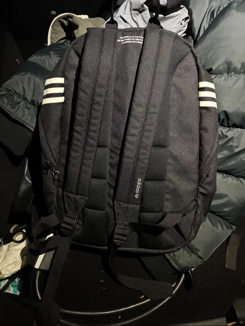 adidas Black Trefoil Everyday Backpack - Men's